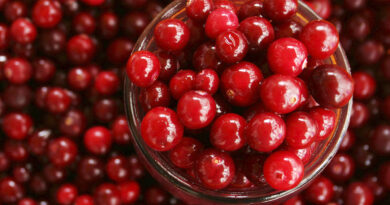 cranberry