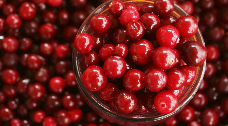 cranberry